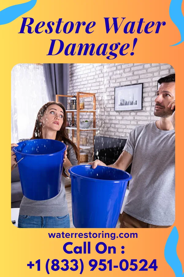 water restoration Trusted Emergency Restoration Contractors River Forest