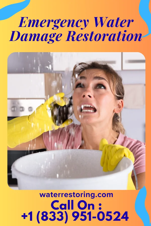 Emergency Water Damage Restoration in River Forest, IN