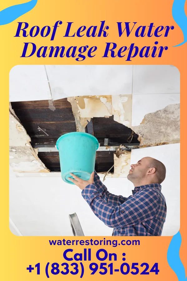 Roof Leak Water Damage Repair in River Forest, IN