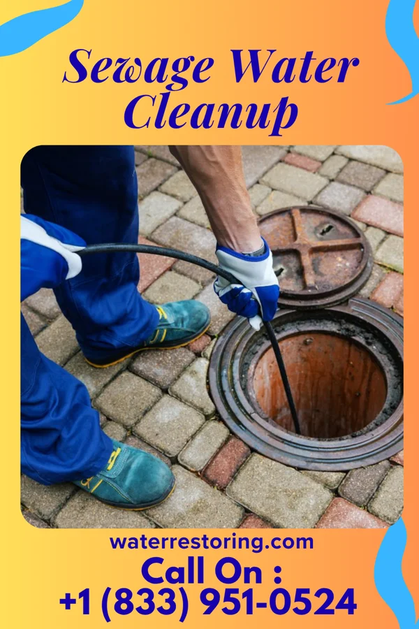 Sewage Water Cleanup in River Forest, IN