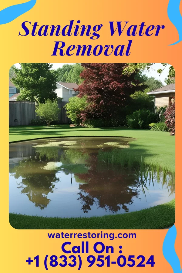 Standing Water Removal in River Forest, IN